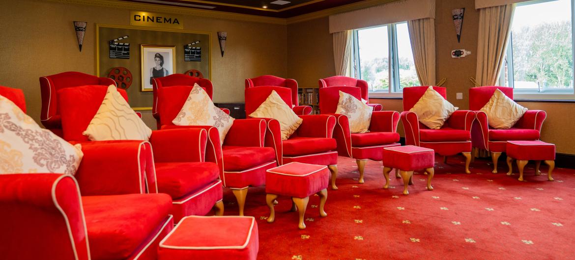 Barony Lodge - Cinema room