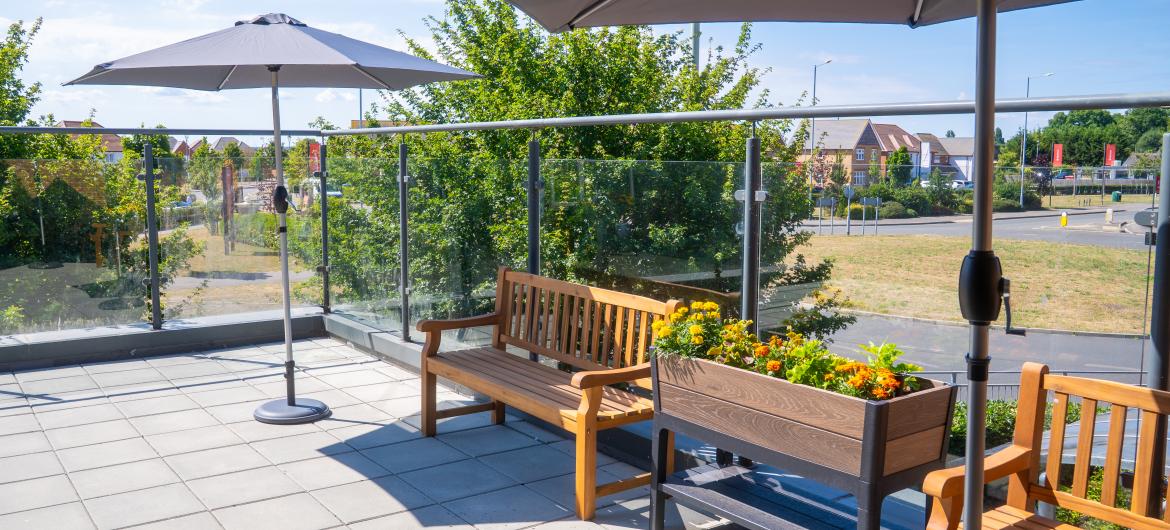 Meadow View - Garden