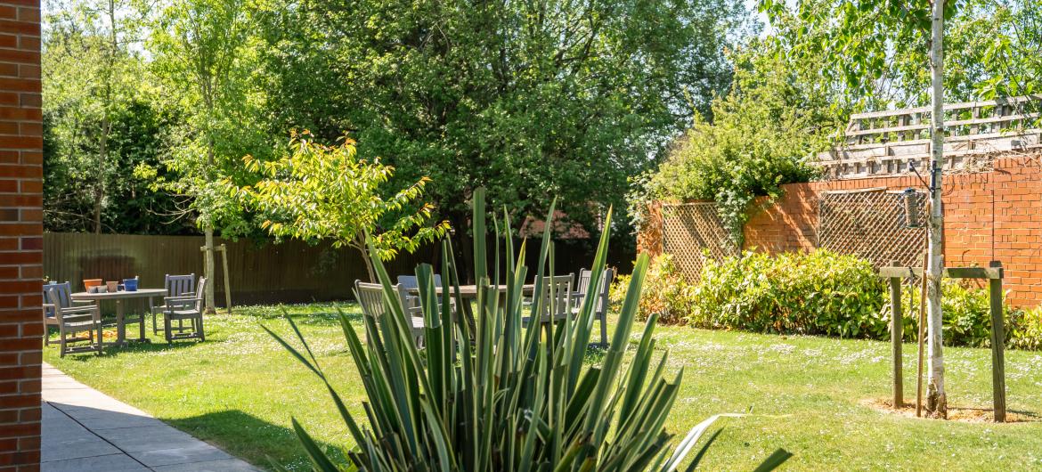 The Beeches - Garden