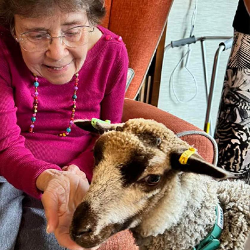 Resident Barbara with Hank the lamb.