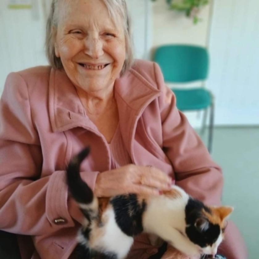 A resident sat down smiling with a cat on her lap