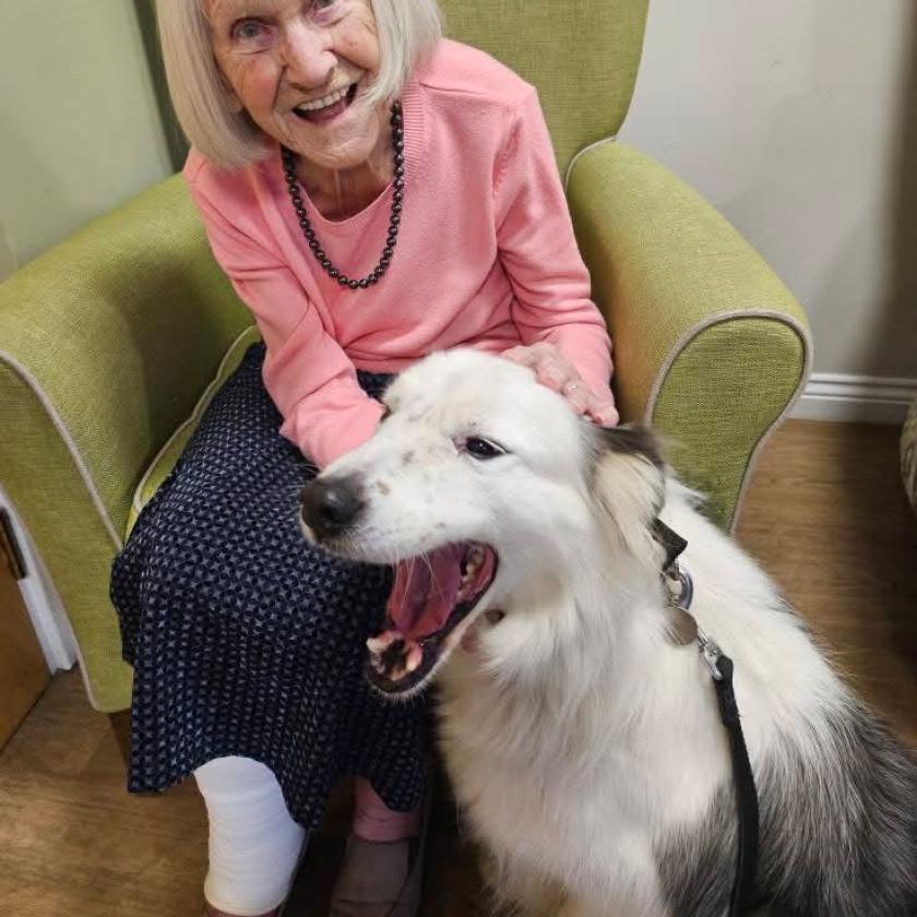 A female resident sat on an armchair stroking a large fluffy dog