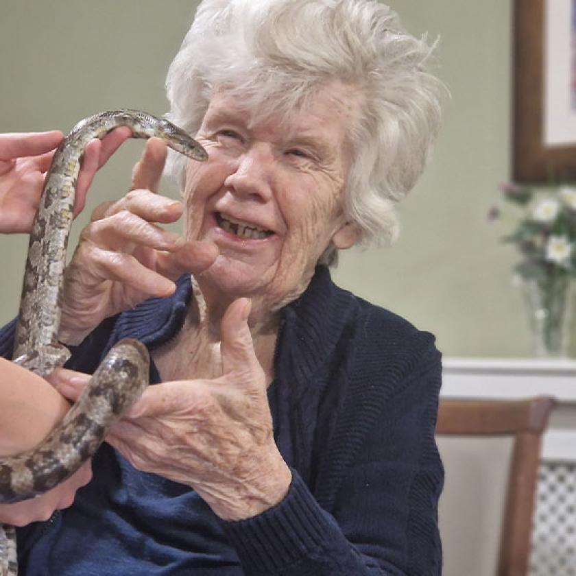 Female care home resident holding a snake