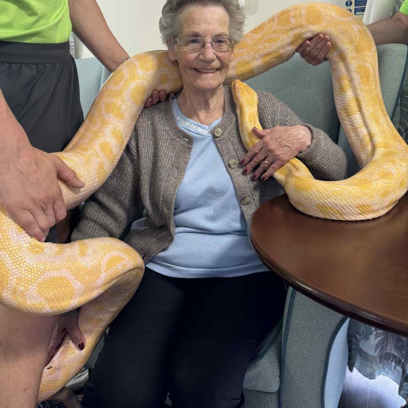A resident holding a giant python during an animal encounter experience