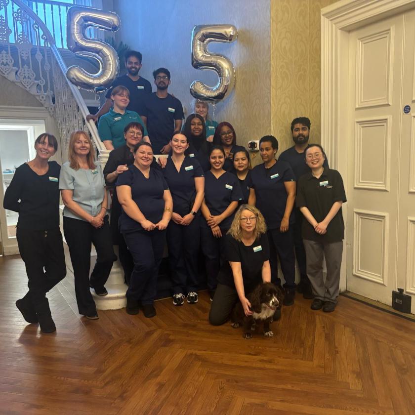 Camilla House CI Success February 2026